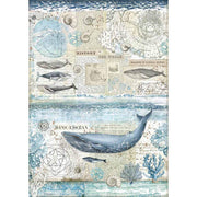 A3 STAMPERIA Rice Paper 3077